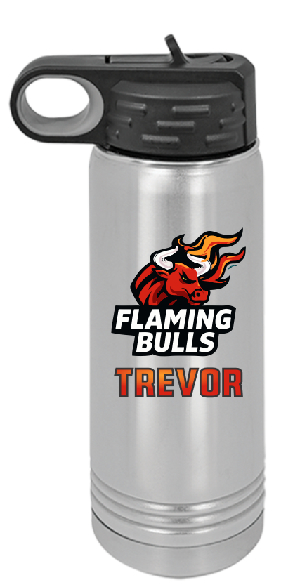 Stainless Steel 32 oz. Polar Camel Water Bottle