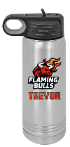 Stainless Steel 20 oz. Polar Camel Water Bottle